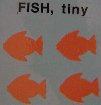 fishtiny.jpg