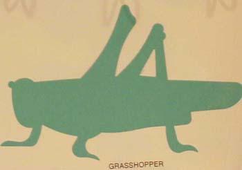 grasshopperXL.jpg