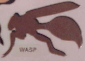 wasp.jpg