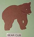 bearcub
