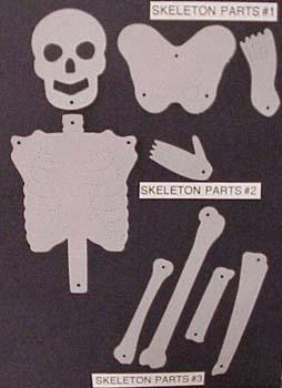 skeletonparts.jpg